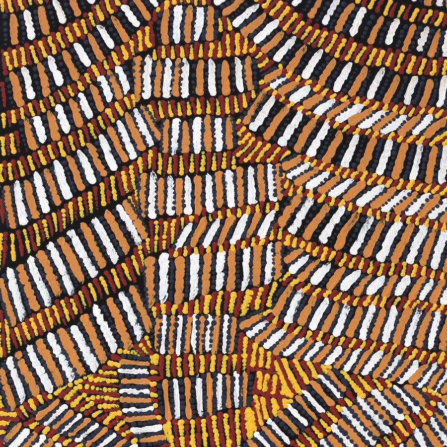 Aboriginal Artwork by Marilyn Maria Nangala Turner, Mina Mina Jukurrpa (Mina Mina Dreaming) - Ngalyipi, 122x46cm
