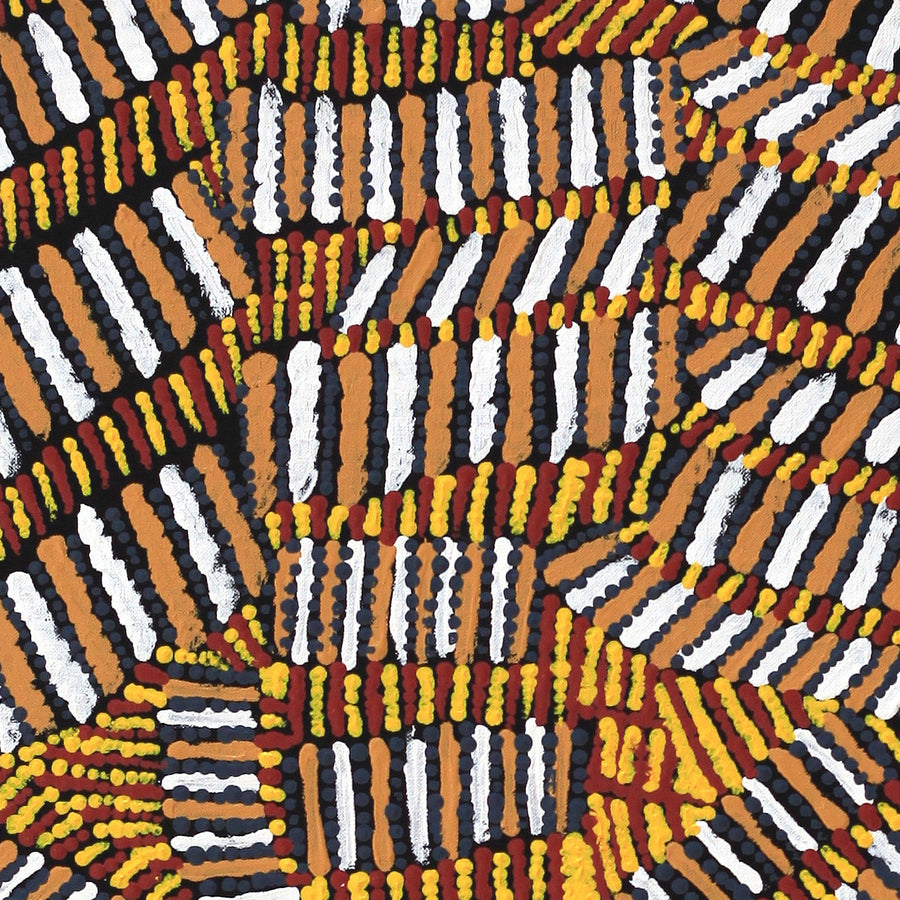 Aboriginal Artwork by Marilyn Maria Nangala Turner, Mina Mina Jukurrpa (Mina Mina Dreaming) - Ngalyipi, 122x46cm