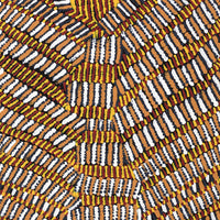 Aboriginal Artwork by Marilyn Maria Nangala Turner, Mina Mina Jukurrpa (Mina Mina Dreaming) - Ngalyipi, 122x46cm