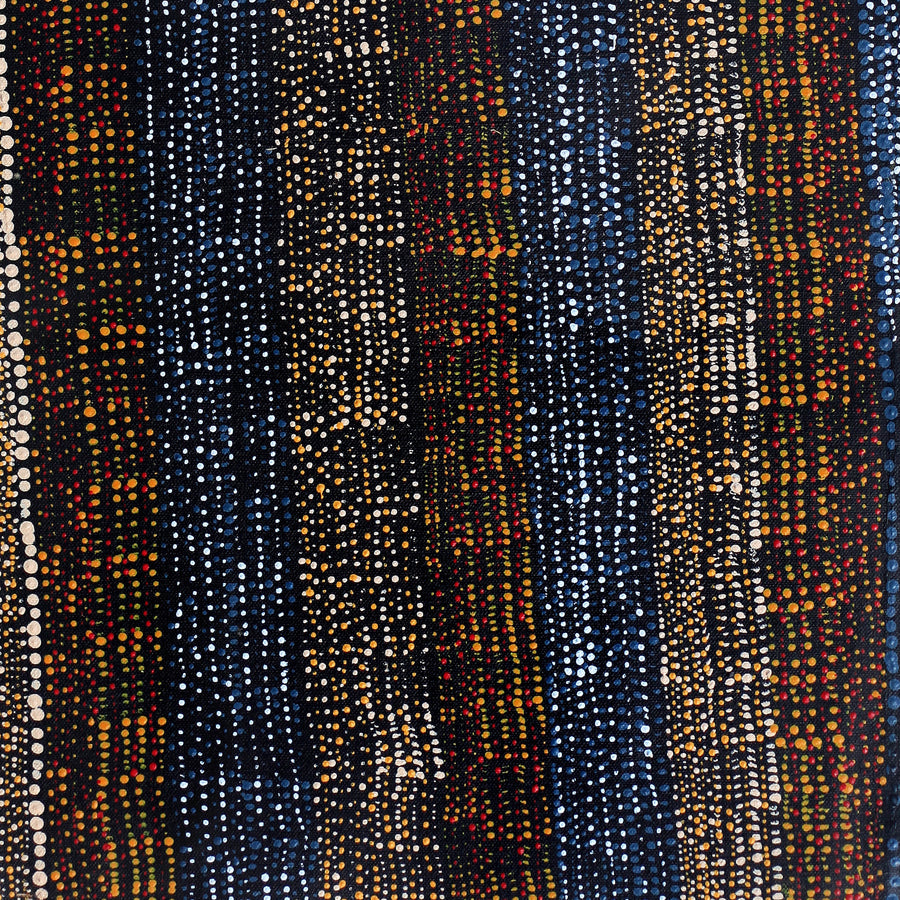Aboriginal Artwork by Marilyn Maria Nangala Turner, Mina Mina Jukurrpa - Ngalyipi, 61x30cm
