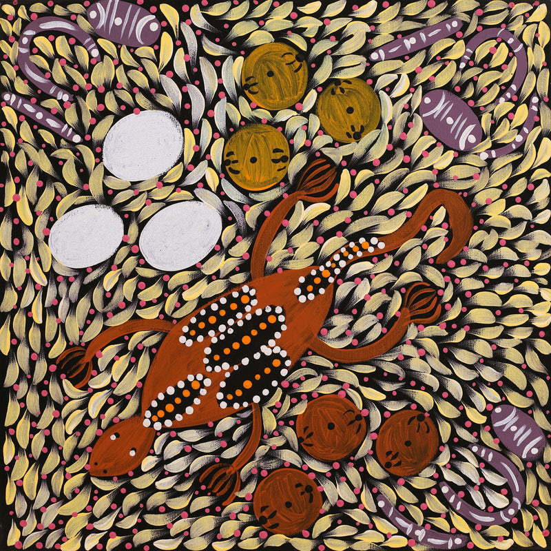 Aboriginal Artwork by Marissa Nungarrayi Brown, Wardapi Jukurrpa (Goanna Dreaming) - Yarripurlangu, 40x40cm