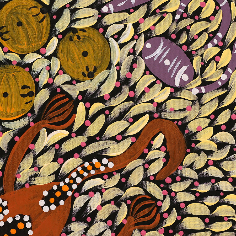 Aboriginal Artwork by Marissa Nungarrayi Brown, Wardapi Jukurrpa (Goanna Dreaming) - Yarripurlangu, 40x40cm