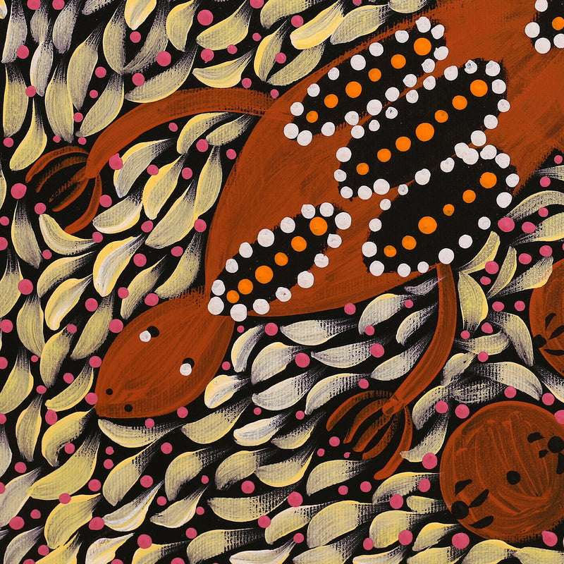 Aboriginal Artwork by Marissa Nungarrayi Brown, Wardapi Jukurrpa (Goanna Dreaming) - Yarripurlangu, 40x40cm