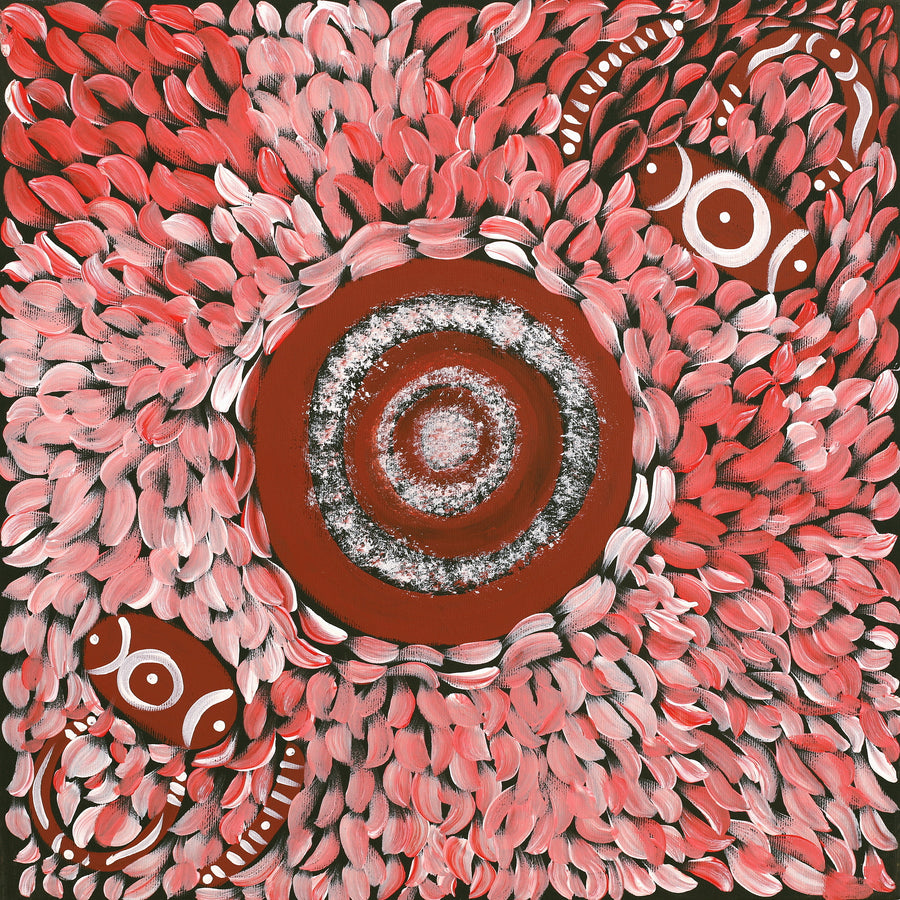 Aboriginal Artwork by Marissa Nungarrayi Brown, Pirlarla Jukurrpa (Dogwood Tree Bean Dreaming), 40x40cm