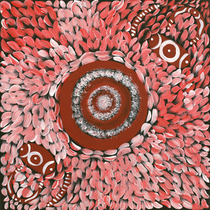 Aboriginal Artwork by Marissa Nungarrayi Brown, Pirlarla Jukurrpa (Dogwood Tree Bean Dreaming), 40x40cm - ART ARK®