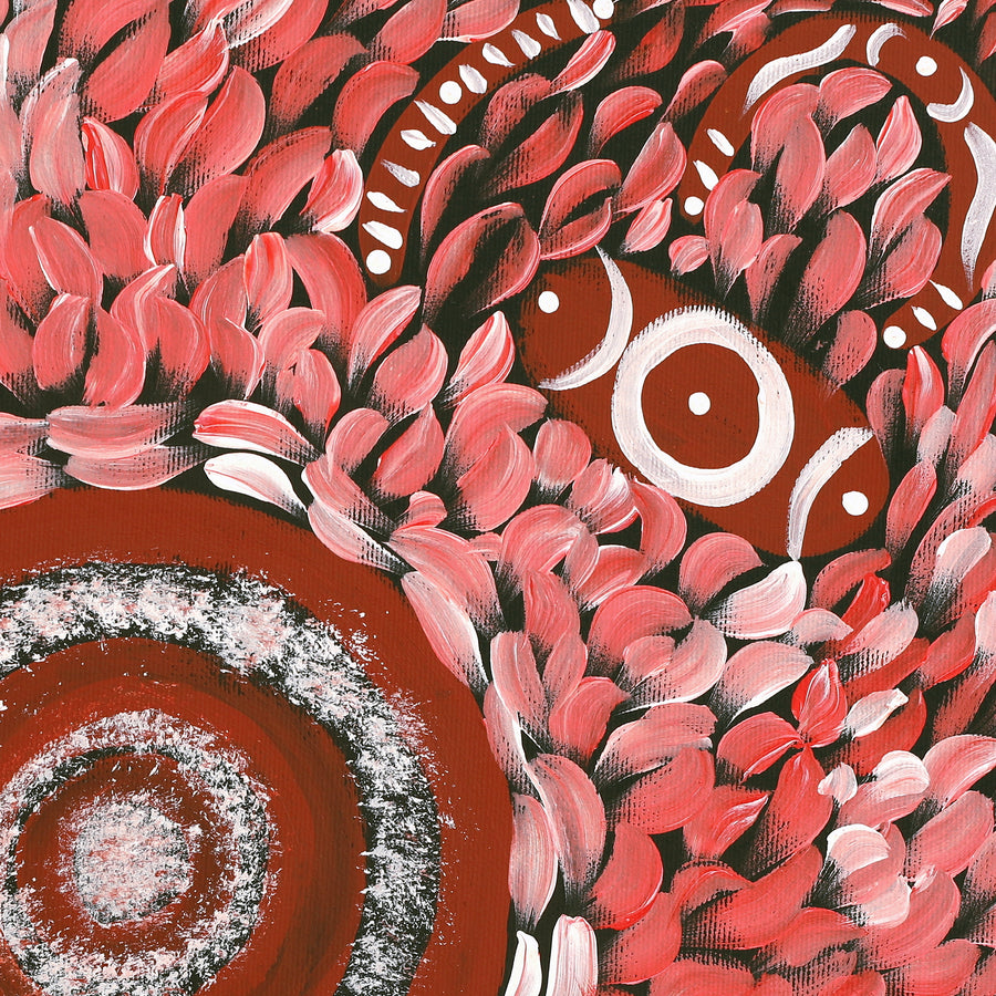 Aboriginal Artwork by Marissa Nungarrayi Brown, Pirlarla Jukurrpa (Dogwood Tree Bean Dreaming), 40x40cm
