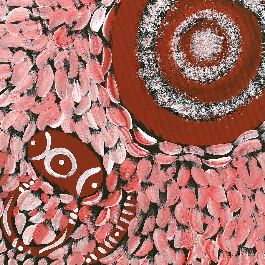 Aboriginal Artwork by Marissa Nungarrayi Brown, Pirlarla Jukurrpa (Dogwood Tree Bean Dreaming), 40x40cm