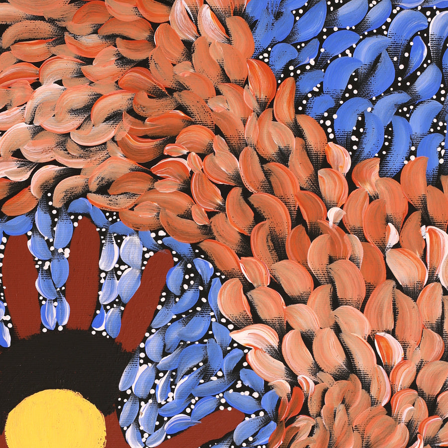 Aboriginal Artwork by Marissa Nungarrayi Brown, Pirlarla Jukurrpa (Dogwood Tree Bean Dreaming), 40x40cm