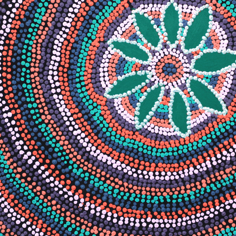Aboriginal Artwork by Marita Napanangka Marshall, Yuparli Jukurrpa (Bush Banana Dreaming), 46x46cm