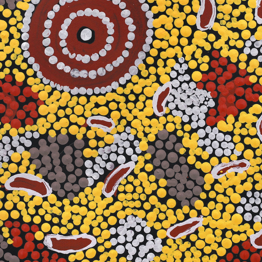 Aboriginal Artwork by Marlette Napurrurla Ross, Karnta Jukurrpa (Womens Dreaming), 30x30cm