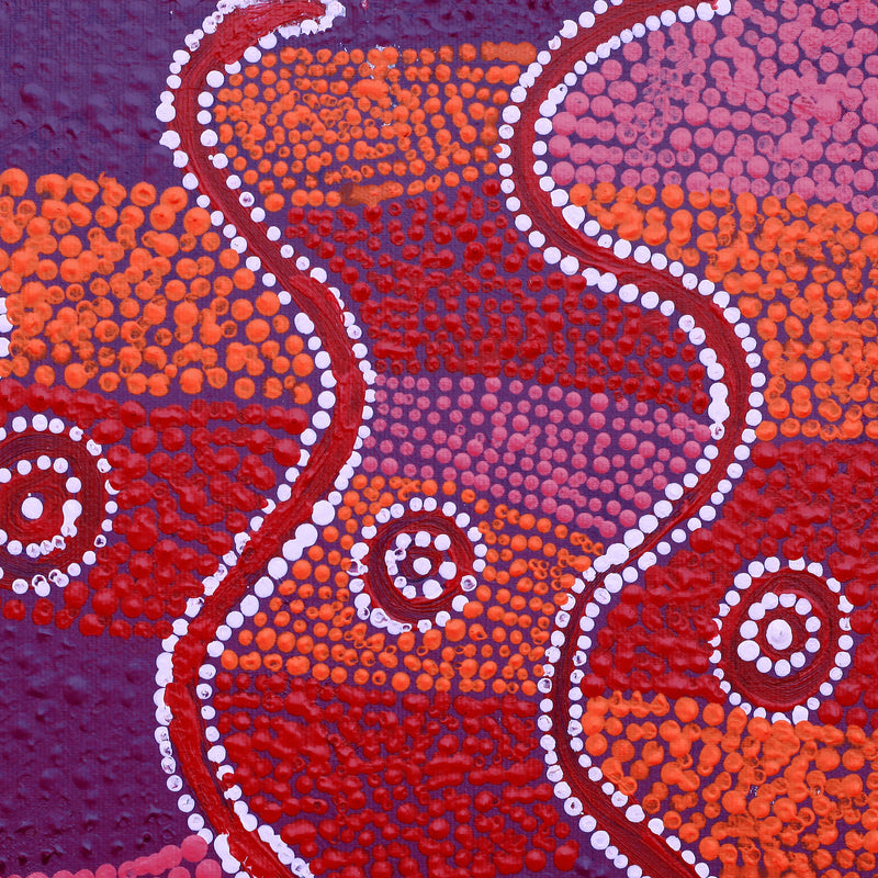 Aboriginal Artwork by Marlette Napurrurla Ross, Janganpa Jukurrpa (Brush-tail Possum Dreaming) - Mawurrji, 30x30cm