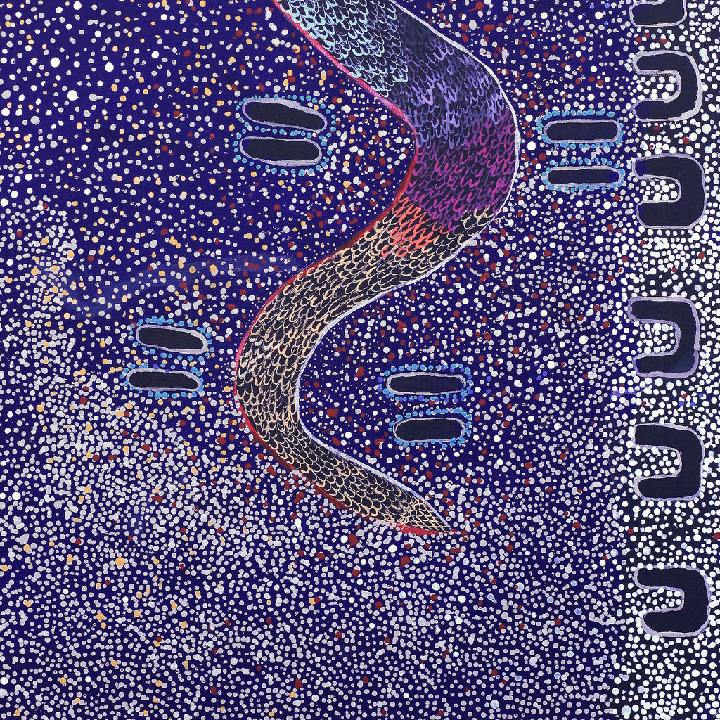 Aboriginal Artwork by Marshall Japangardi Poulson, Warna Jukurrpa (Snake Dreaming), 91x76cm