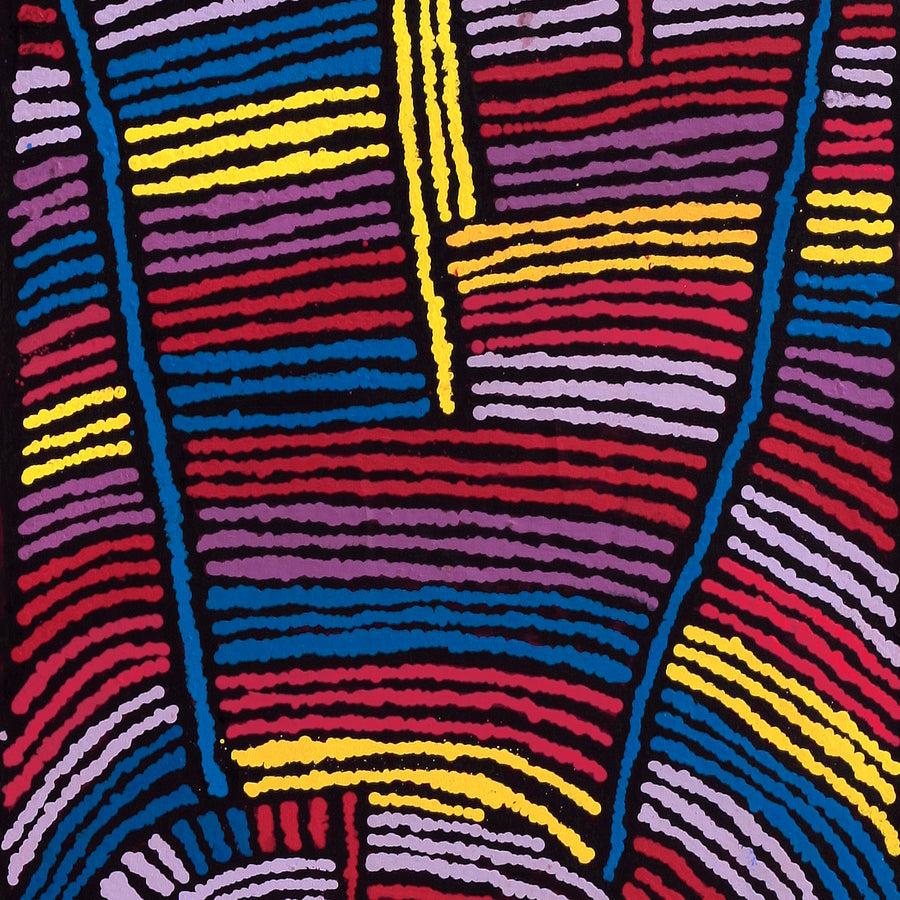 Aboriginal Artwork by Mary Napangardi Brown, Kurrkara Jukurrpa (Desert Oak Dreaming) - Mina Mina, 122x46cm