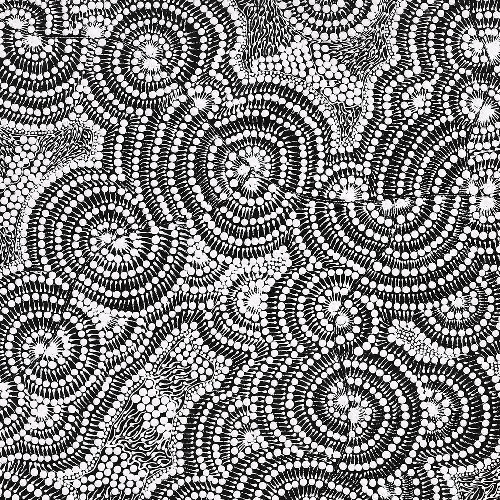 Aboriginal Artwork by Mary Napangardi Butcher, Pikilyi Jukurrpa, 107x46cm