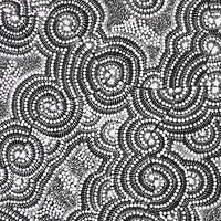 Aboriginal Artwork by Mary Napangardi Butcher, Pikilyi Jukurrpa, 107x46cm