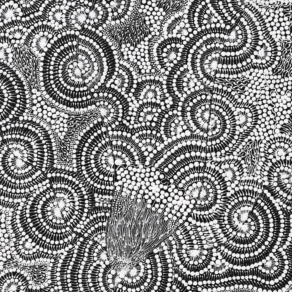 Aboriginal Artwork by Mary Napangardi Butcher, Pikilyi Jukurrpa, 107x46cm