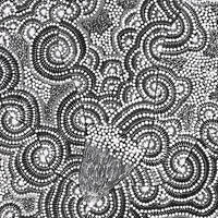 Aboriginal Artwork by Mary Napangardi Butcher, Pikilyi Jukurrpa, 107x46cm