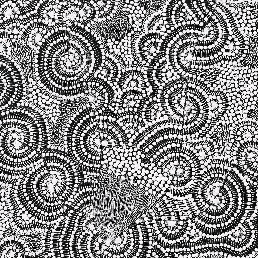 Aboriginal Artwork by Mary Napangardi Butcher, Pikilyi Jukurrpa, 107x46cm