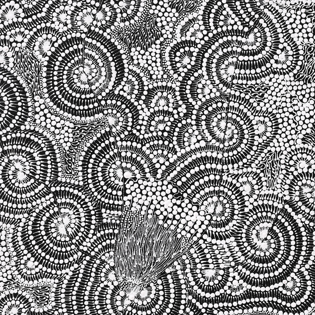 Aboriginal Art by Mary Napangardi Butcher, Pikilyi Jukurrpa, 107x46cm - ART ARK®