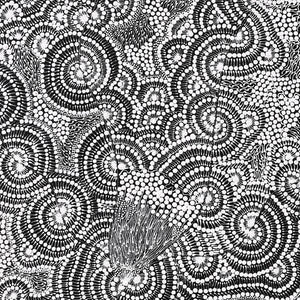 Aboriginal Art by Mary Napangardi Butcher, Pikilyi Jukurrpa, 107x46cm - ART ARK®