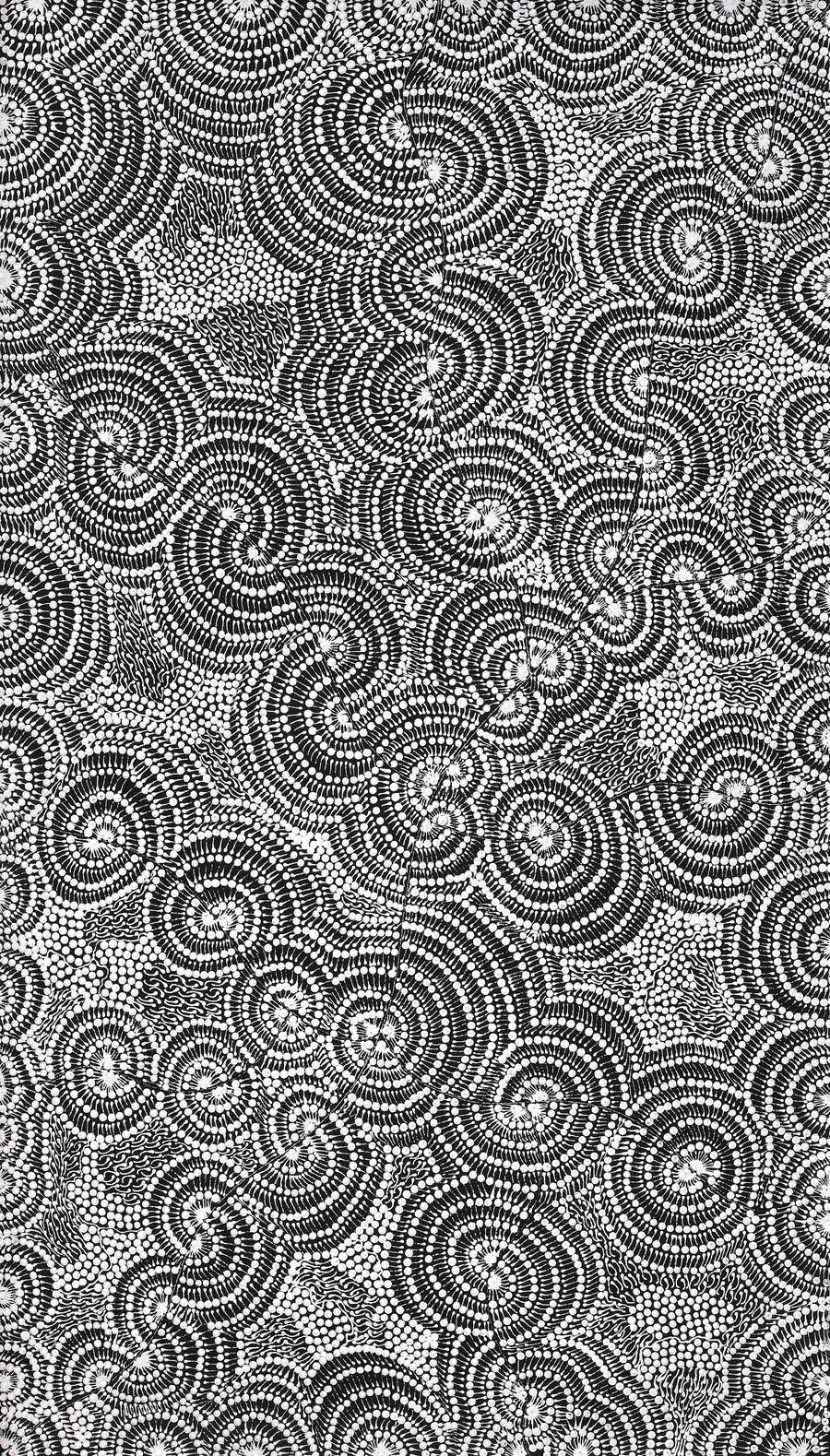 Aboriginal Artwork by Mary Napangardi Butcher, Pikilyi Jukurrpa, 107x61cm