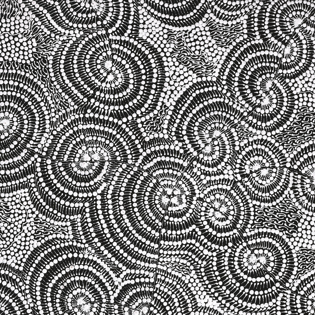 Aboriginal Artwork by Mary Napangardi Butcher, Pikilyi Jukurrpa, 107x61cm