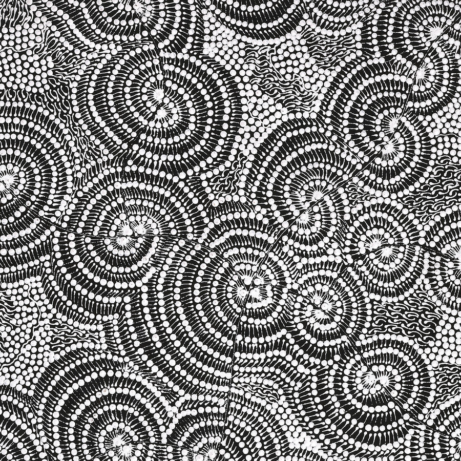 Aboriginal Artwork by Mary Napangardi Butcher, Pikilyi Jukurrpa, 107x61cm
