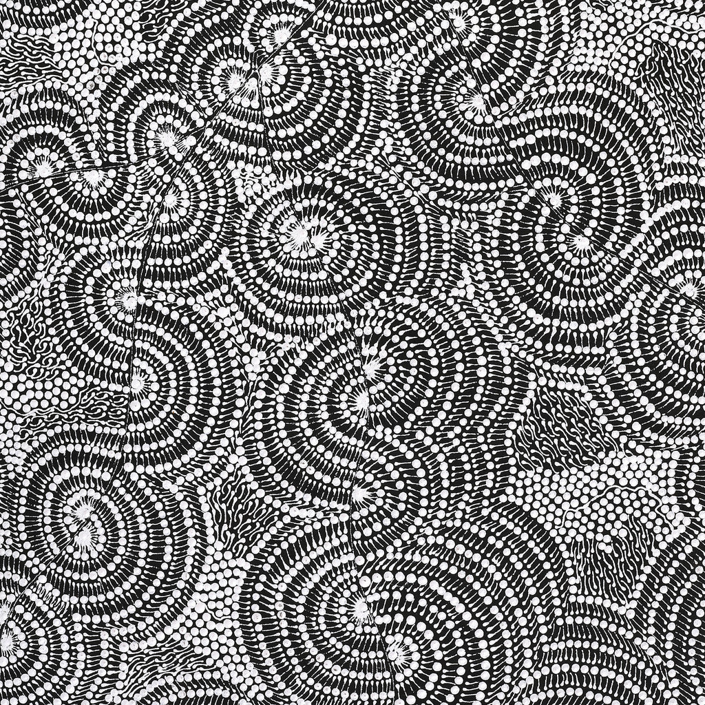 Aboriginal Artwork by Mary Napangardi Butcher, Pikilyi Jukurrpa, 107x61cm