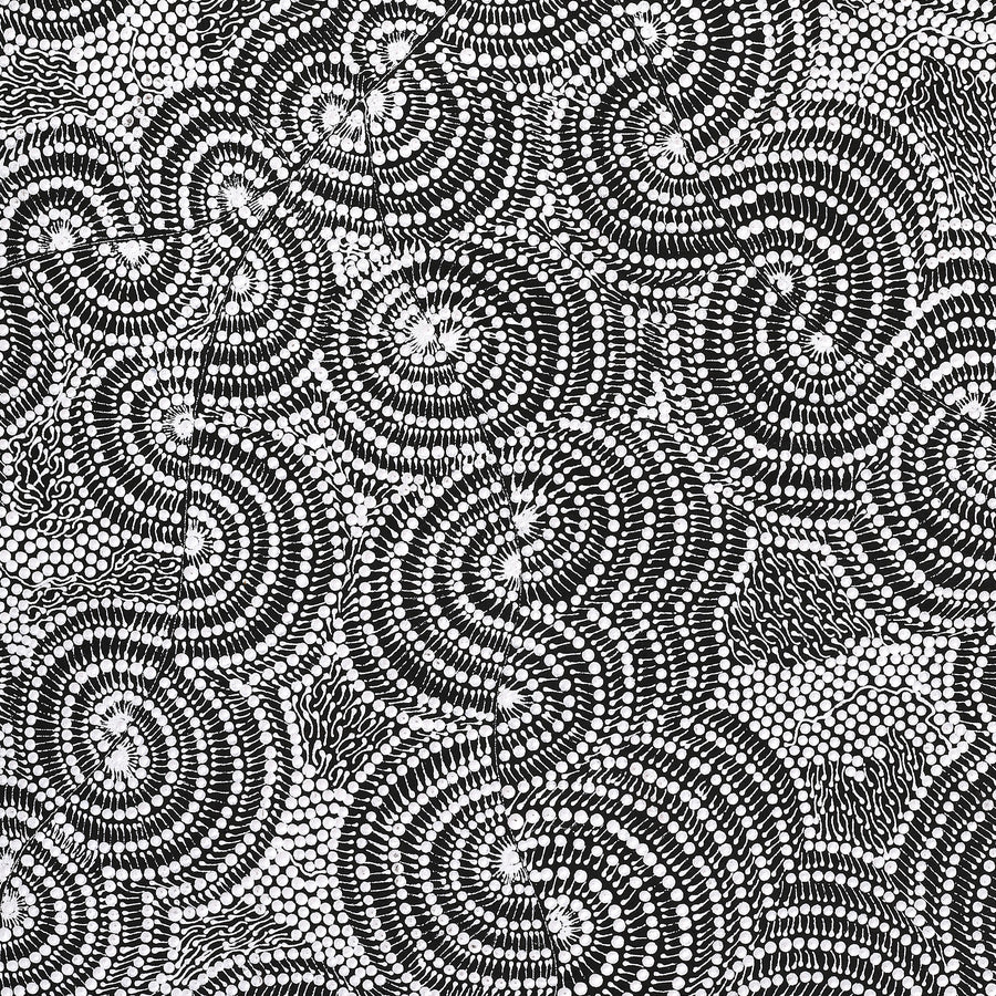 Aboriginal Artwork by Mary Napangardi Butcher, Pikilyi Jukurrpa, 107x61cm