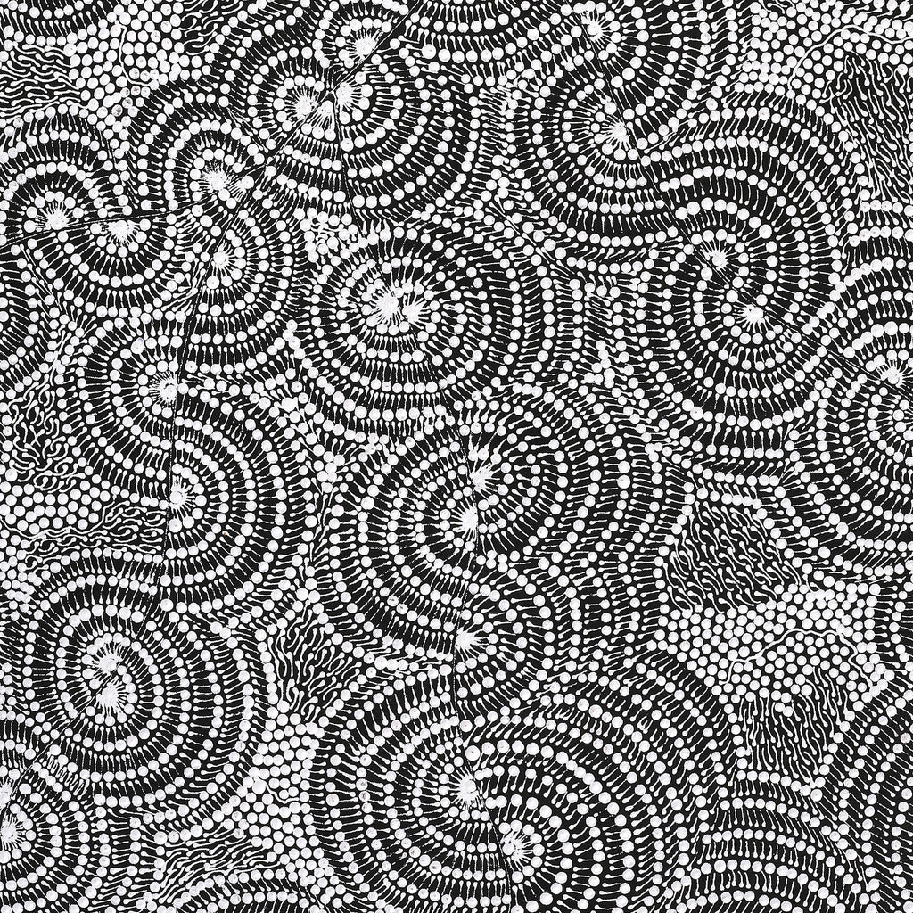Aboriginal Artwork by Mary Napangardi Butcher, Pikilyi Jukurrpa, 107x61cm - ART ARK®