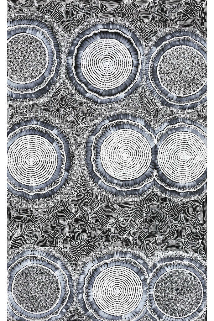 Aboriginal Artwork by Mary Napangardi Butcher, Pikilyi Jukurrpa, 122x76cm