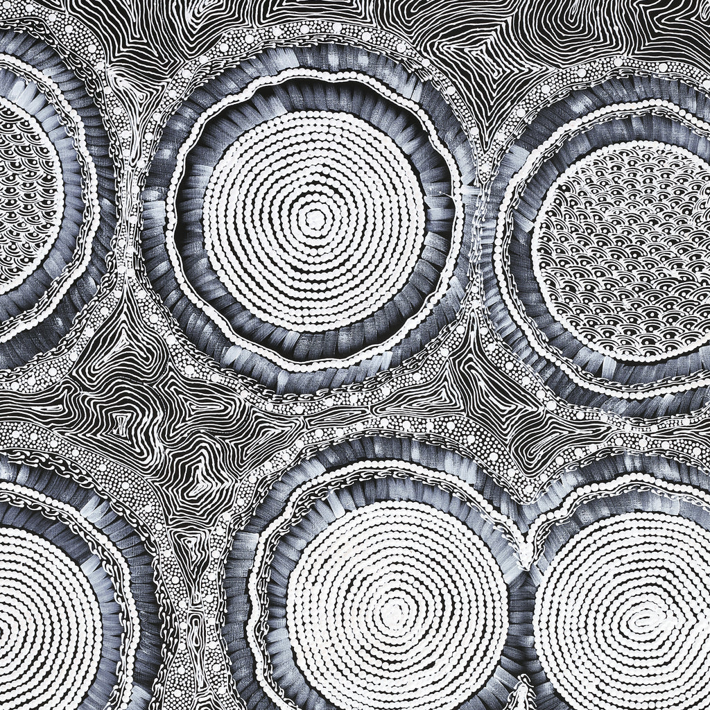 Aboriginal Artwork by Mary Napangardi Butcher, Pikilyi Jukurrpa, 122x76cm