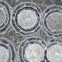 Aboriginal Artwork by Mary Napangardi Butcher, Pikilyi Jukurrpa, 122x76cm