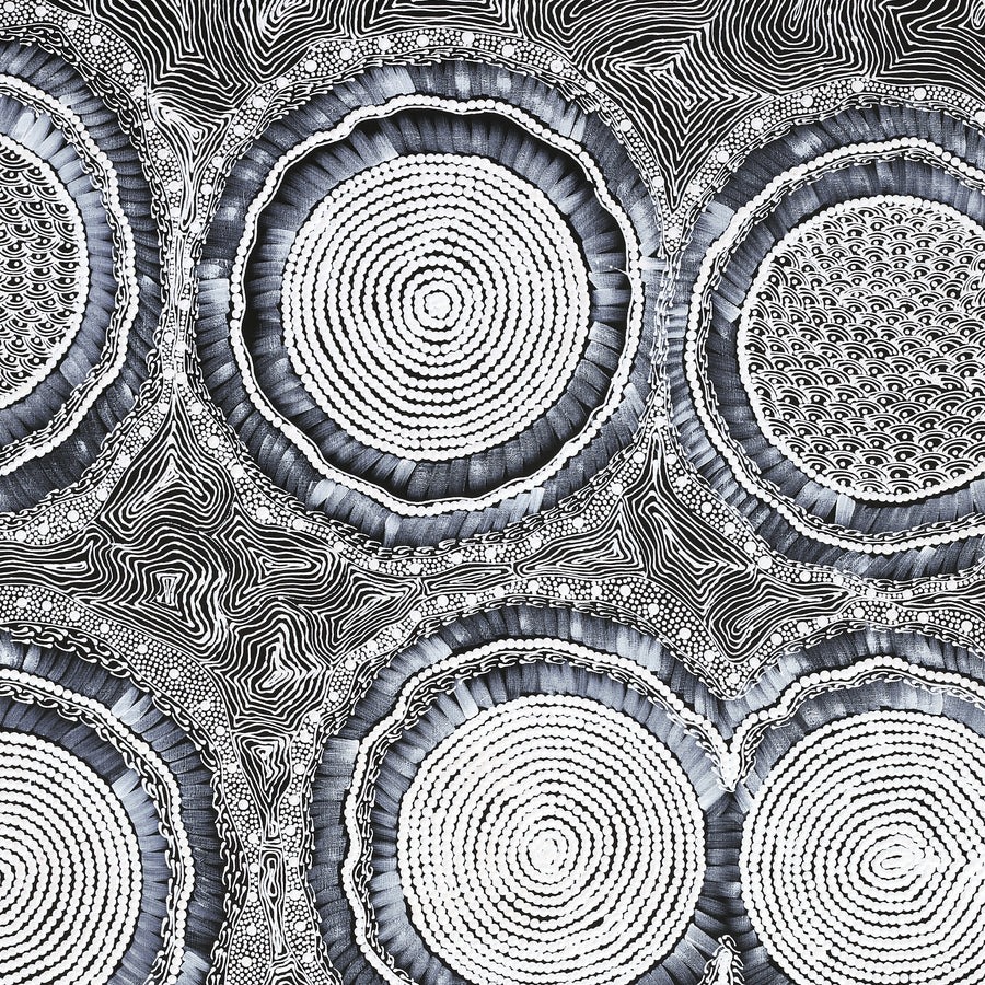 Aboriginal Artwork by Mary Napangardi Butcher, Pikilyi Jukurrpa, 122x76cm