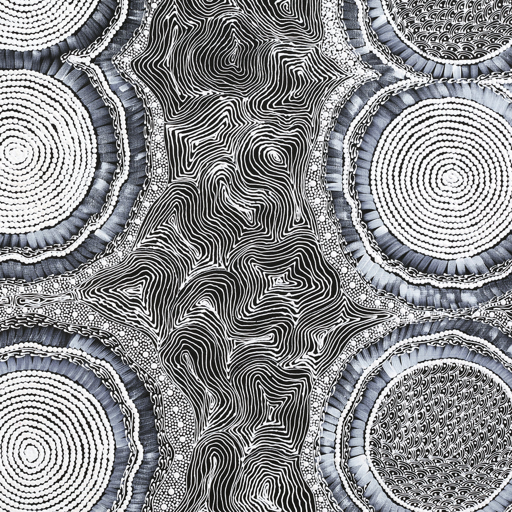 Aboriginal Artwork by Mary Napangardi Butcher, Pikilyi Jukurrpa, 122x76cm