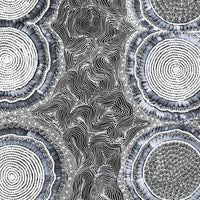 Aboriginal Artwork by Mary Napangardi Butcher, Pikilyi Jukurrpa, 122x76cm