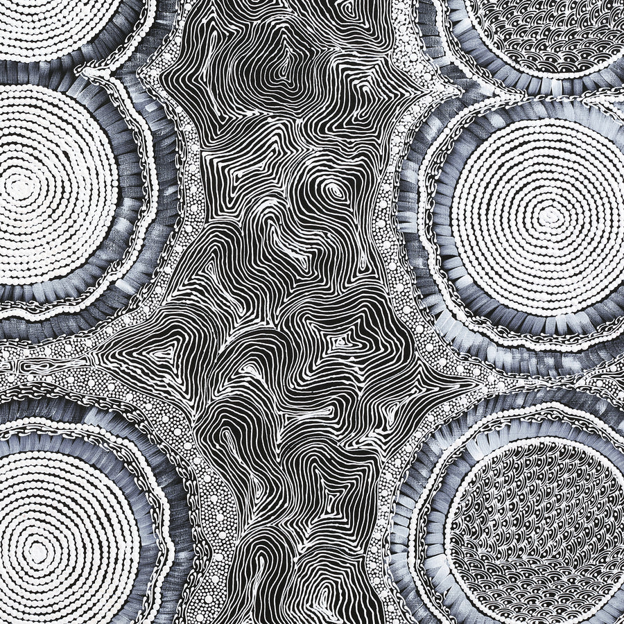 Aboriginal Artwork by Mary Napangardi Butcher, Pikilyi Jukurrpa, 122x76cm