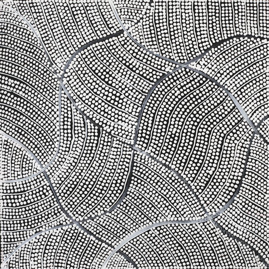 Aboriginal Artwork by Mary Napangardi Butcher, Pikilyi Jukurrpa, 30x30cm