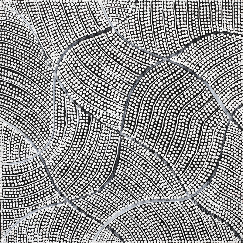 Aboriginal Artwork by Mary Napangardi Butcher, Pikilyi Jukurrpa, 30x30cm