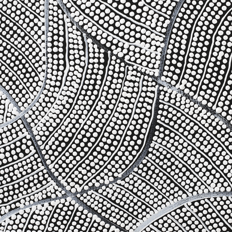 Aboriginal Artwork by Mary Napangardi Butcher, Pikilyi Jukurrpa, 30x30cm