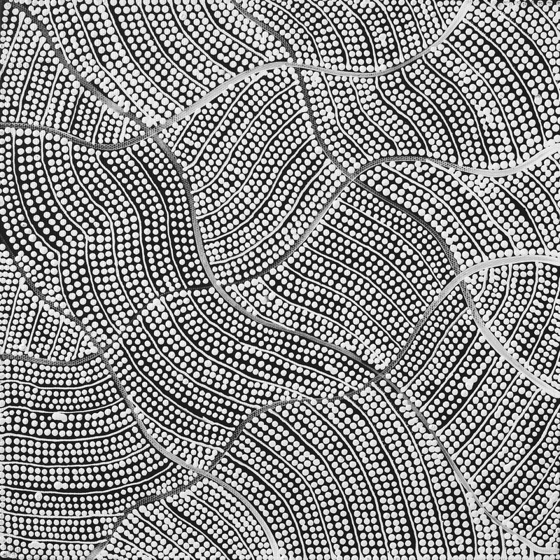 Aboriginal Artwork by Mary Napangardi Butcher, Pikilyi Jukurrpa, 30x30cm