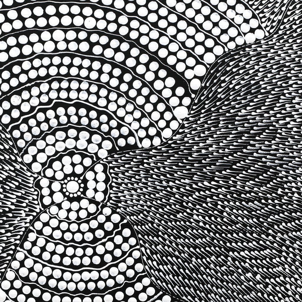 Aboriginal Artwork by Mary Napangardi Butcher, Pikilyi Jukurrpa, 30x30cm