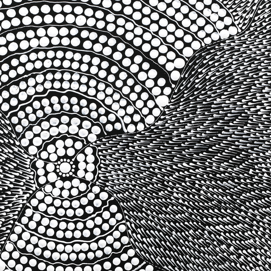 Aboriginal Artwork by Mary Napangardi Butcher, Pikilyi Jukurrpa, 30x30cm