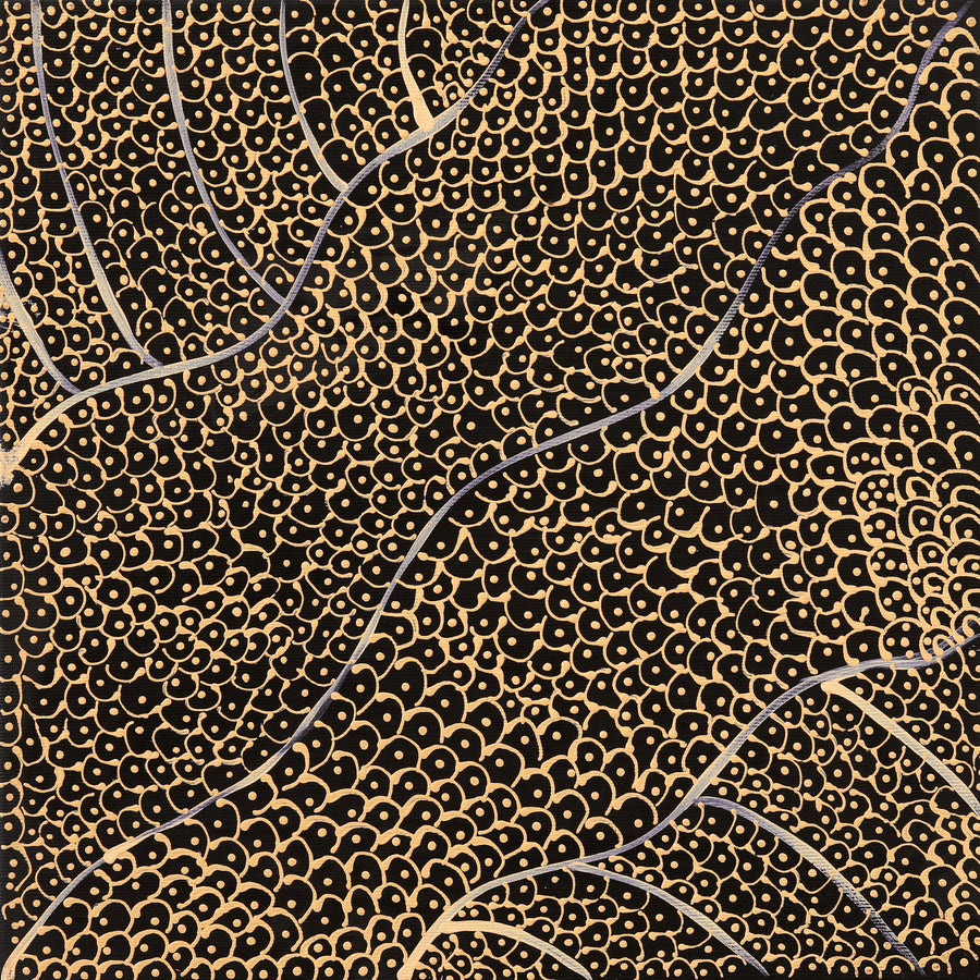 Aboriginal Artwork by Mary Napangardi Butcher, Pikilyi Jukurrpa, 30x30cm