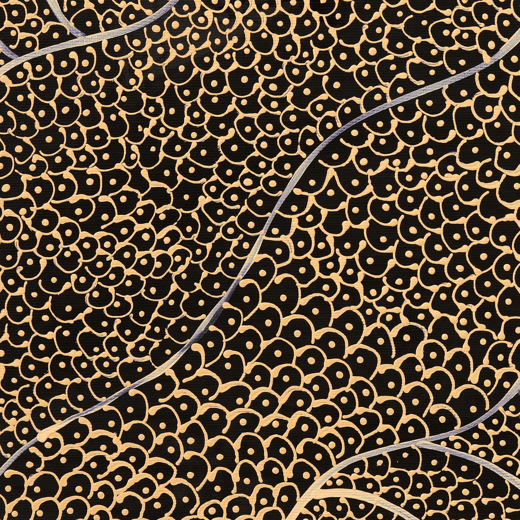 Aboriginal Artwork by Mary Napangardi Butcher, Pikilyi Jukurrpa, 30x30cm