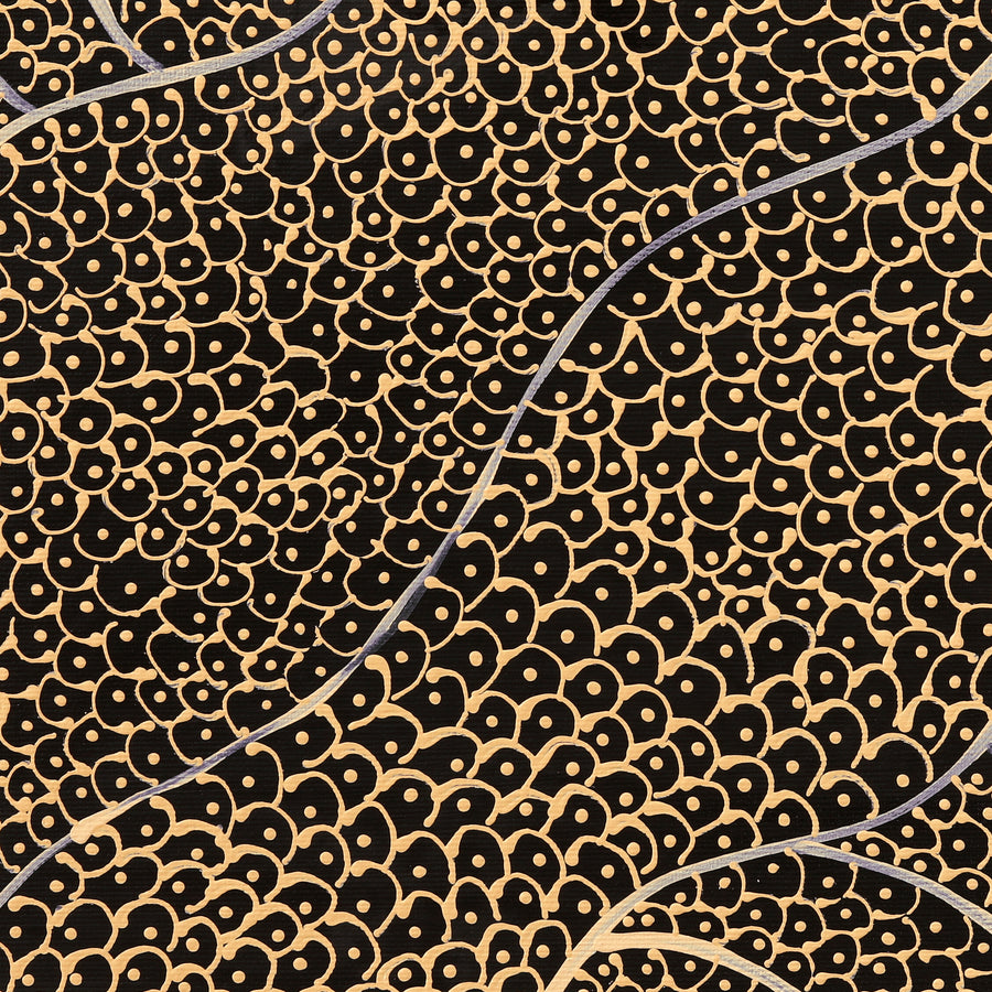 Aboriginal Artwork by Mary Napangardi Butcher, Pikilyi Jukurrpa, 30x30cm