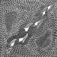 Aboriginal Artwork by Mary Napangardi Butcher, Pikilyi Jukurrpa, 40x40cm