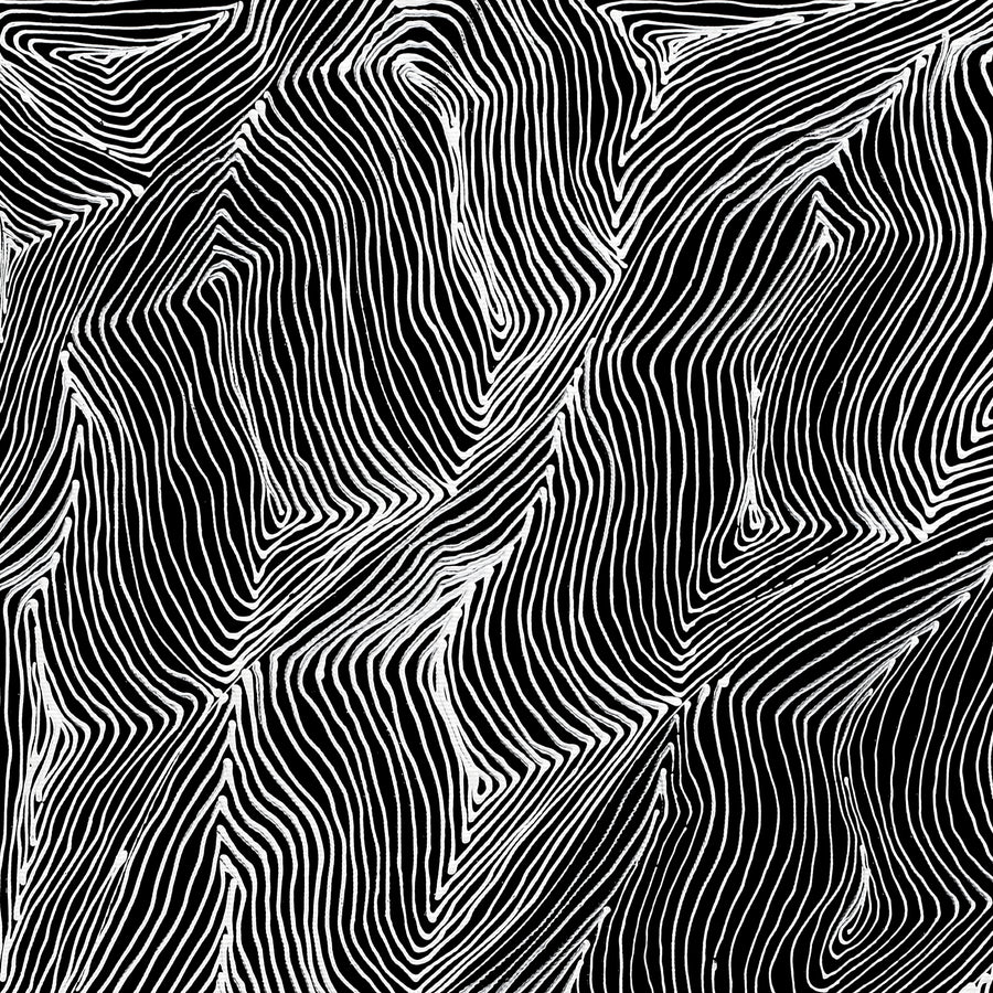 Aboriginal Artwork by Mary Napangardi Butcher, Pikilyi Jukurrpa, 50x40cm