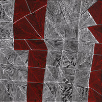 Aboriginal Artwork by Mary Napangardi Butcher, Pikilyi Jukurrpa, 46x46cm