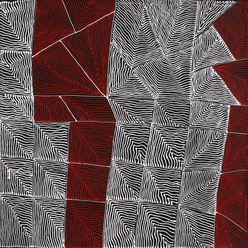 Aboriginal Artwork by Mary Napangardi Butcher, Pikilyi Jukurrpa, 46x46cm